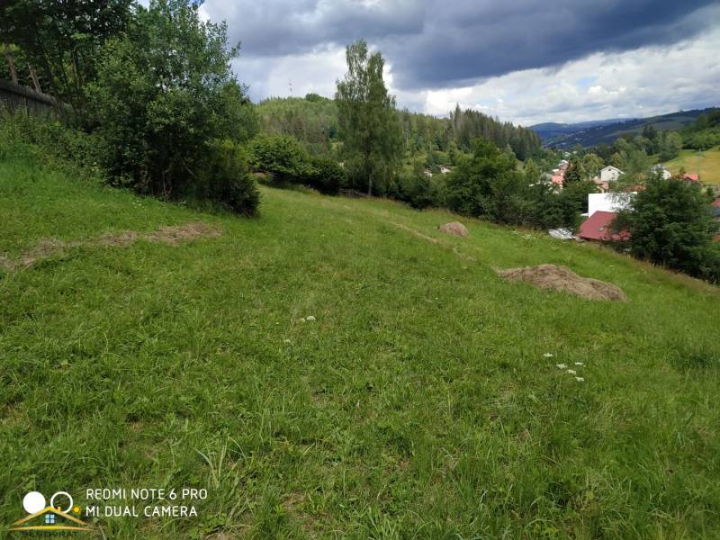 Predaj: Pozemok určený na výstavbu chát v meste Čadca(033-P)