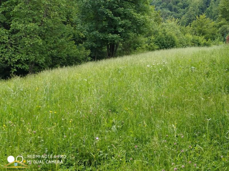 Predaj: Tradičná drevenica v obci Oščadnica(026-CH)